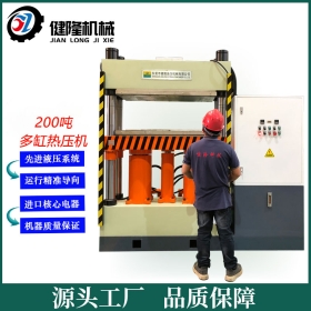200噸伺服雙缸熱固成型液壓機(jī)